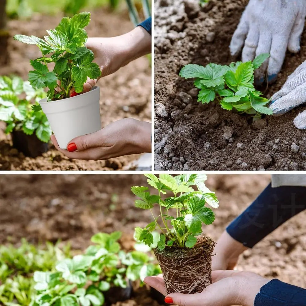 Plastic Plant Pots 28 Pack With Drainage Holes And Saucers