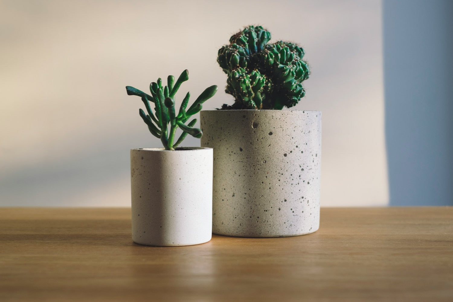 Planters & Pots