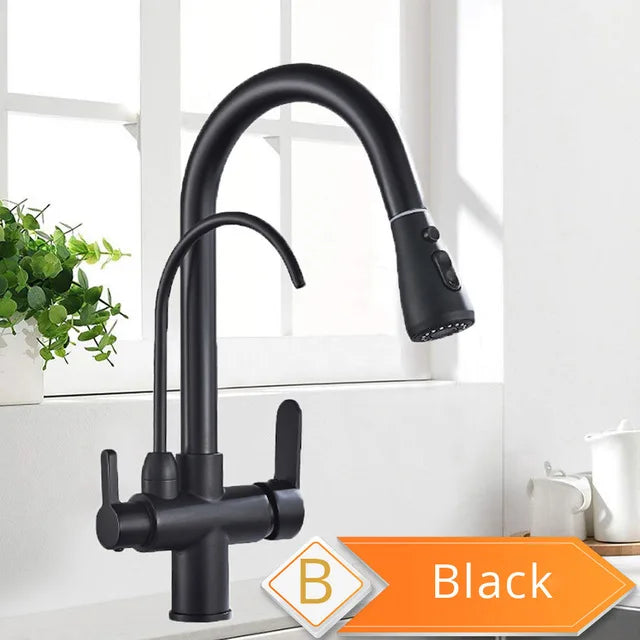 Rozin Purification Kitchen Faucet With 3-Way Pull-Out Spray Water Filter