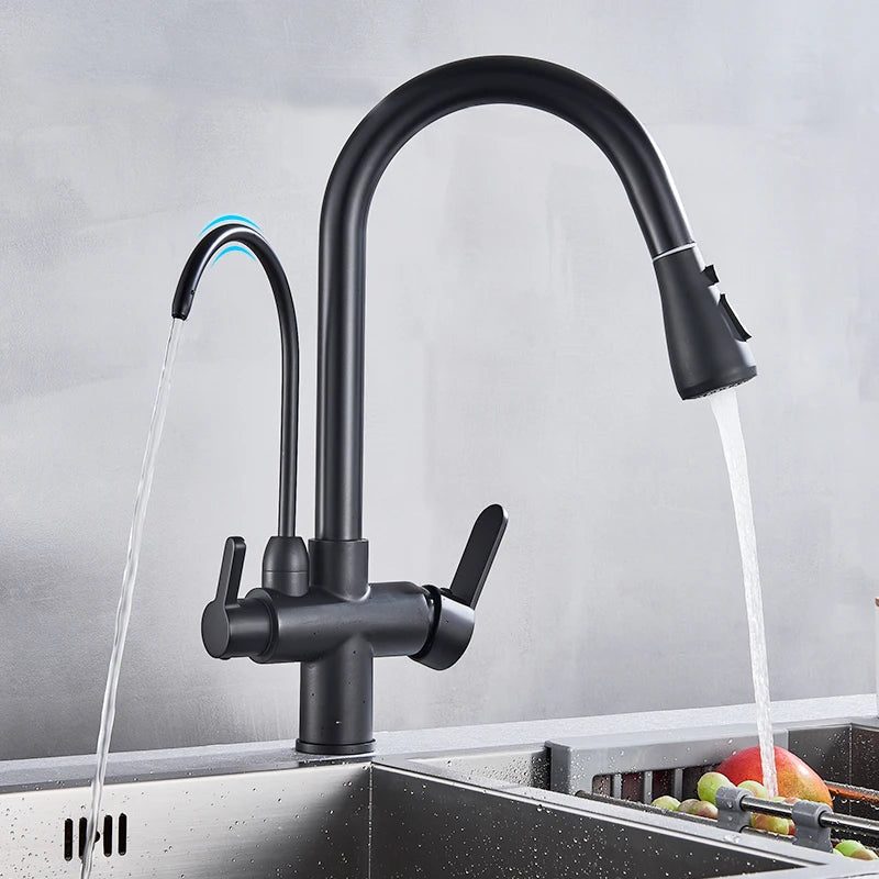Rozin Purification Kitchen Faucet With 3-Way Pull-Out Spray Water Filter