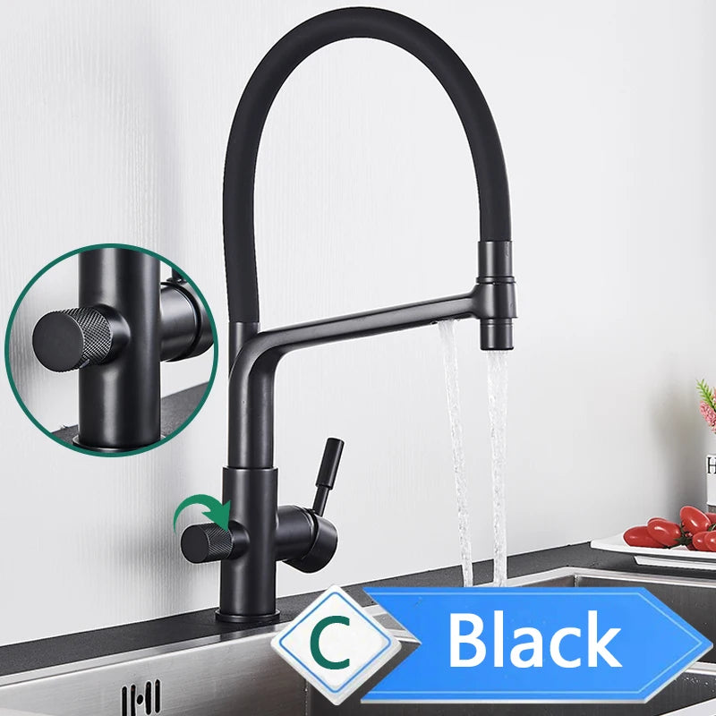 Rozin Purification Kitchen Faucet With 3-Way Pull-Out Spray Water Filter