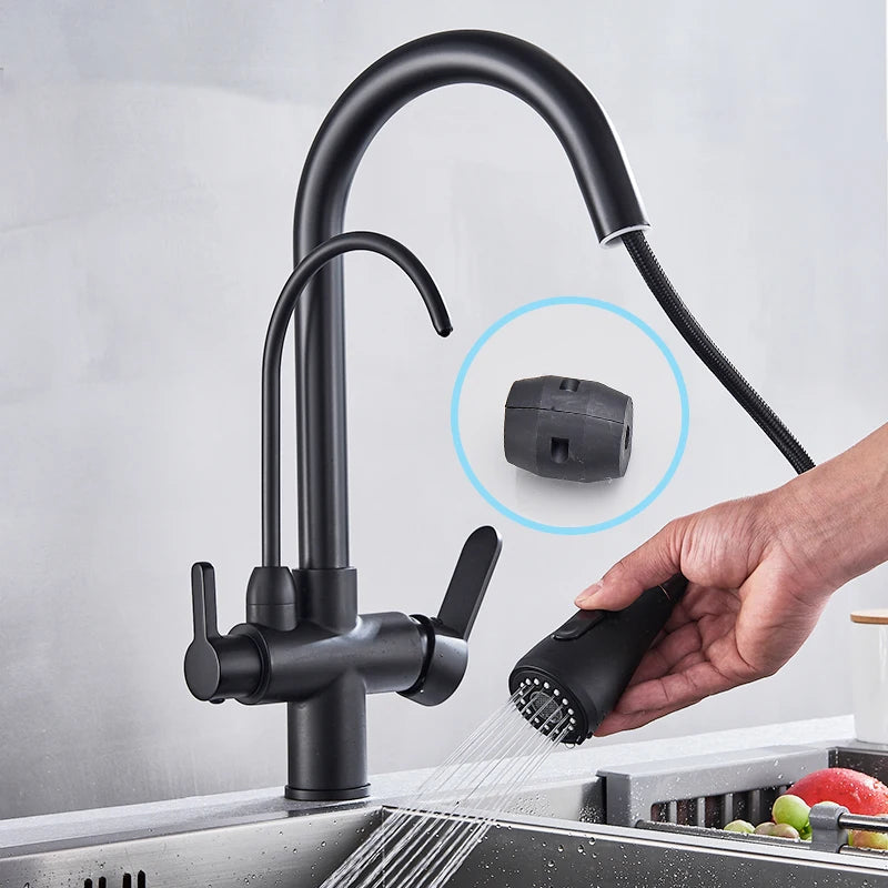 Rozin Purification Kitchen Faucet With 3-Way Pull-Out Spray Water Filter