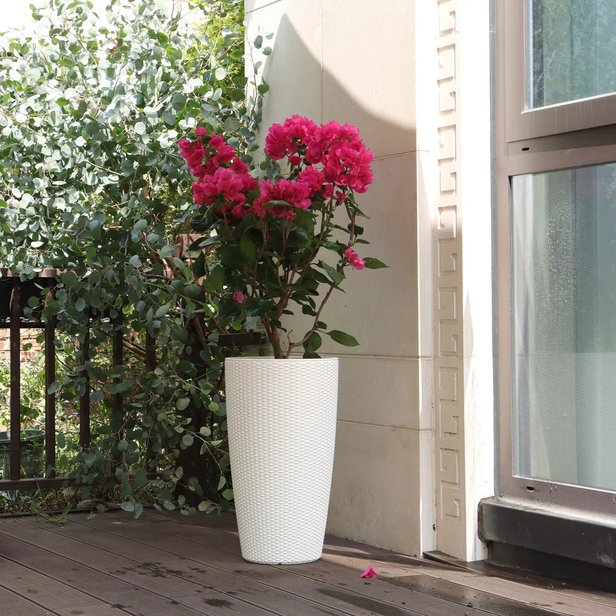 Self-Watering Plant Pot With Drainage Holes Tray Water Level Monitor