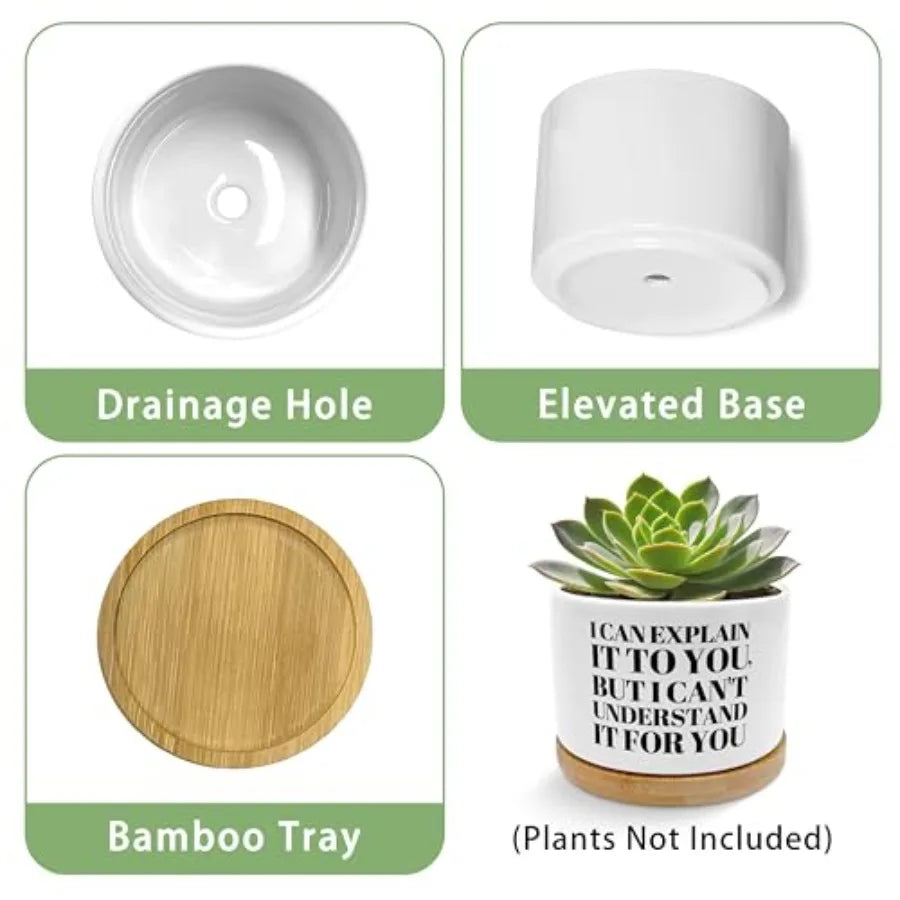 Humorous Quote Planter Pot Ceramic Succulent Gift For Home