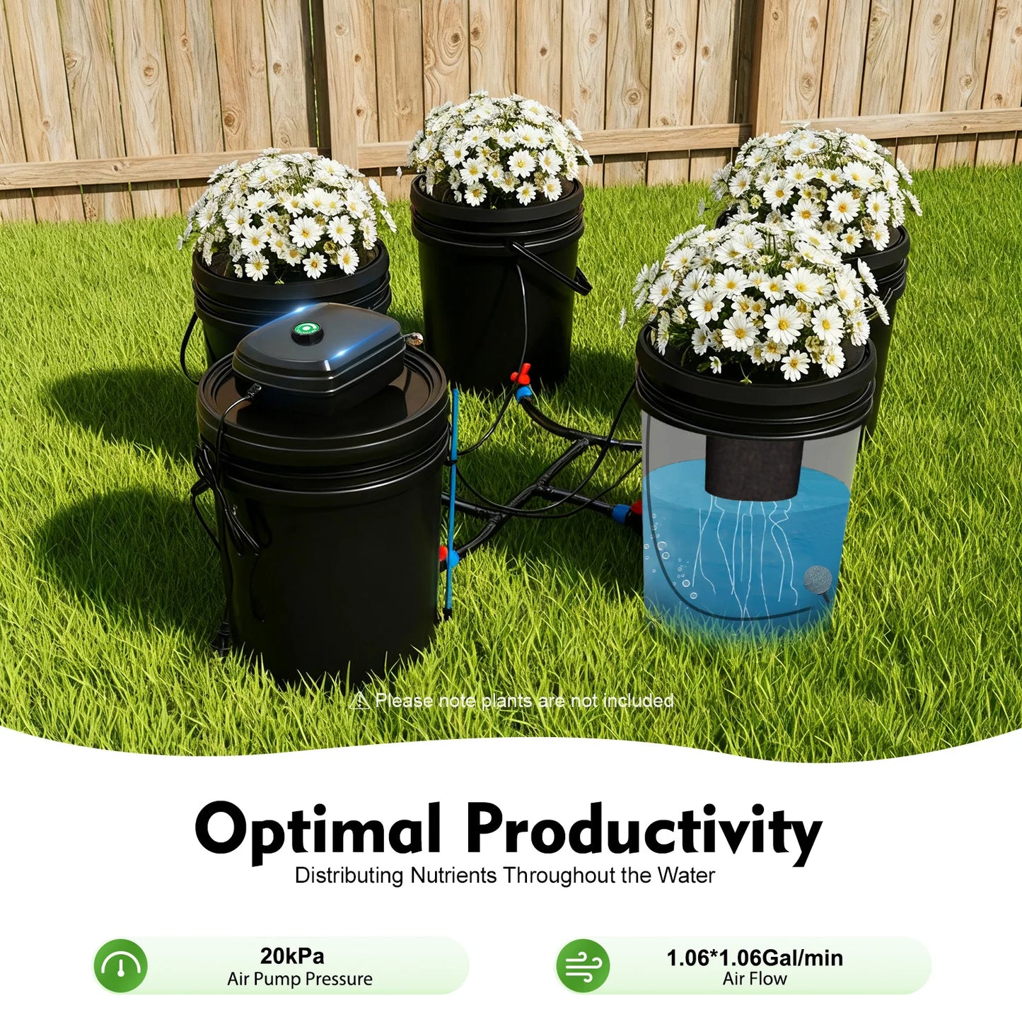Bymaocar Hydroponics System Kit Deep Water Culture With Air Pump