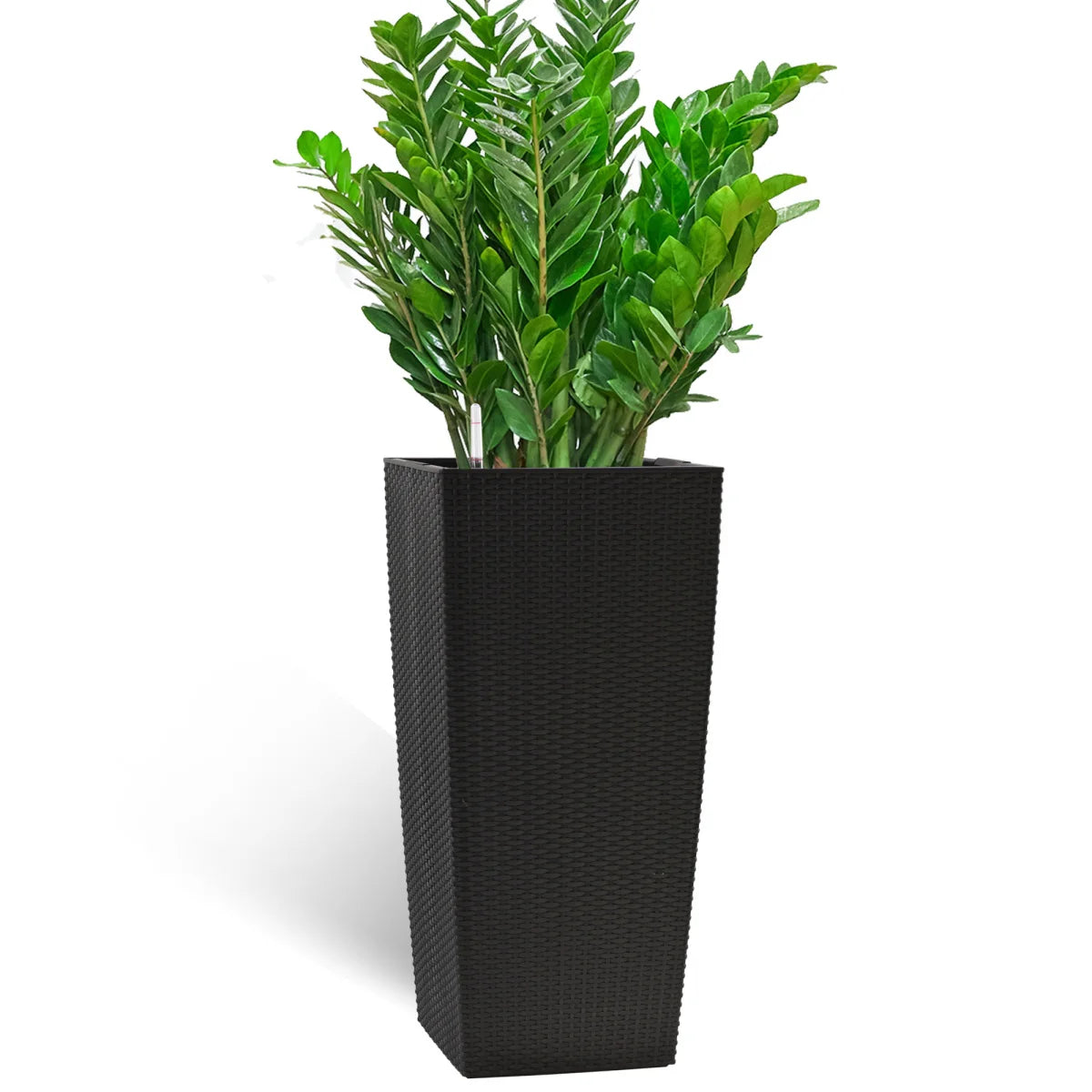 Self-Watering Plant Pot With Drainage Holes Tray Water Level Monitor