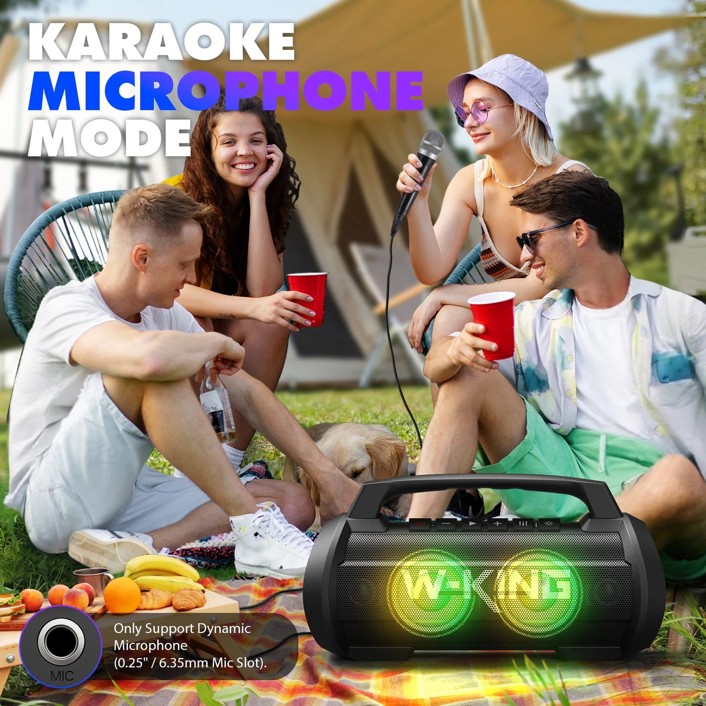 W-King D10MIC 70W RMS Bluetooth Portable Speaker IPX6 Waterproof