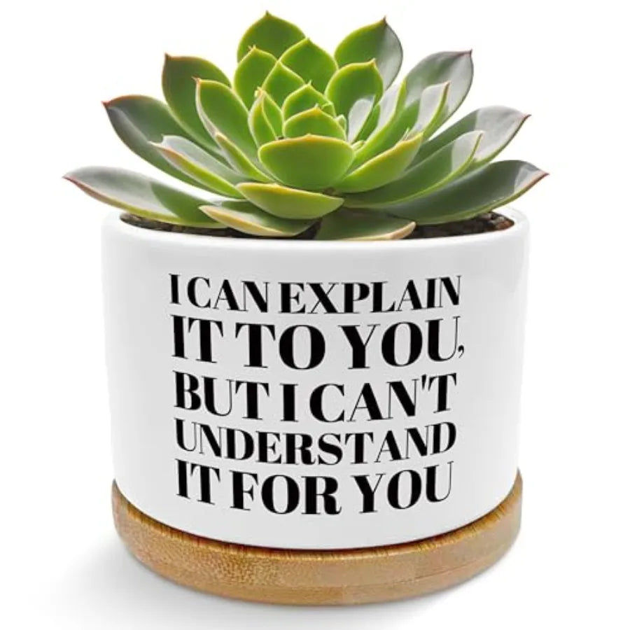 Humorous Quote Planter Pot Ceramic Succulent Gift For Home
