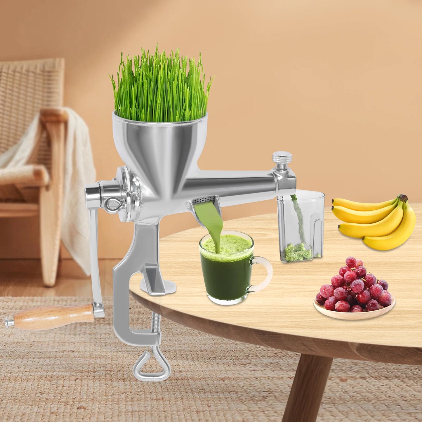 Bymaocar Stainless Steel Manual Fruit And Vegetable Juicer Squeezer