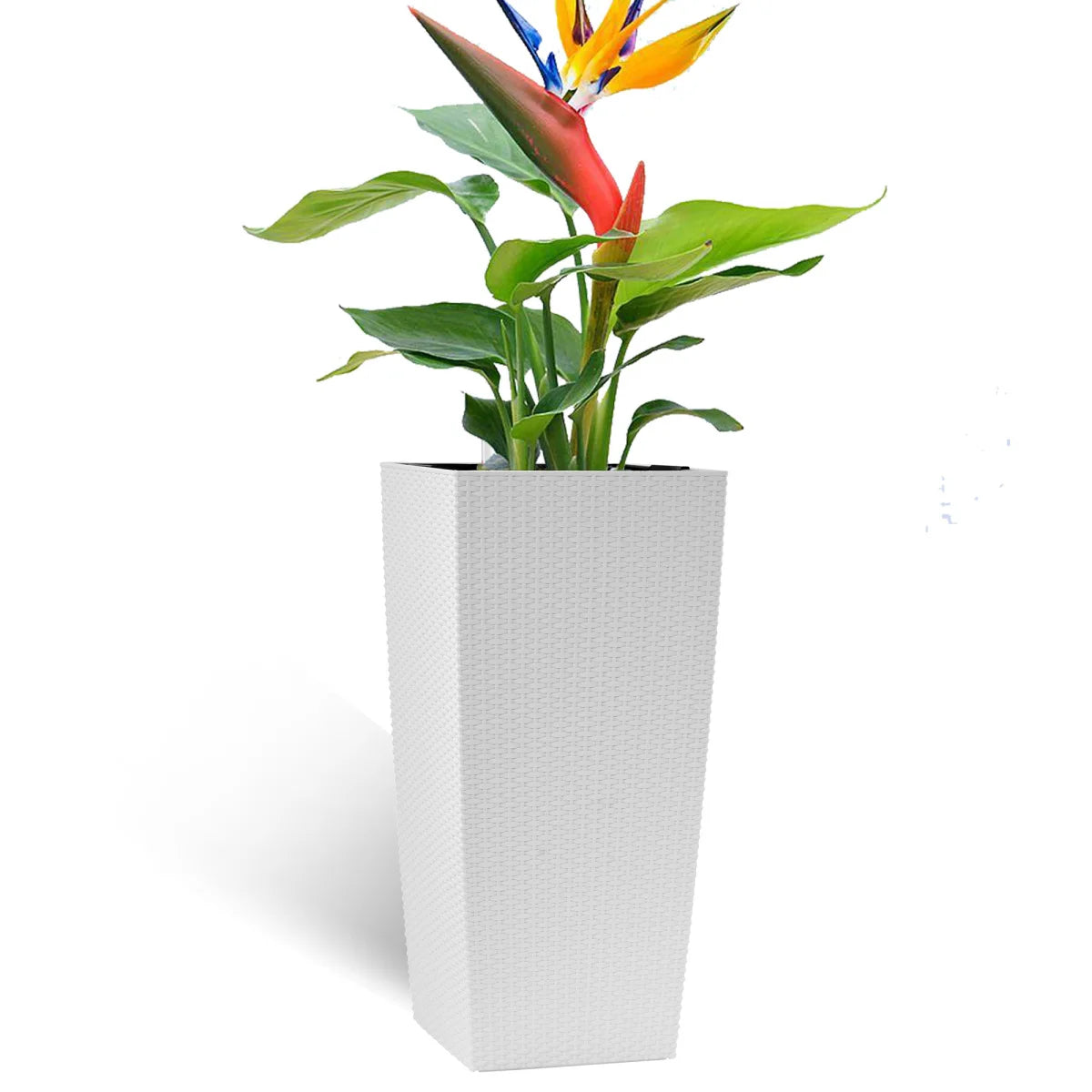 Self Watering Flower Pot Planter With Drain Holes And Tray