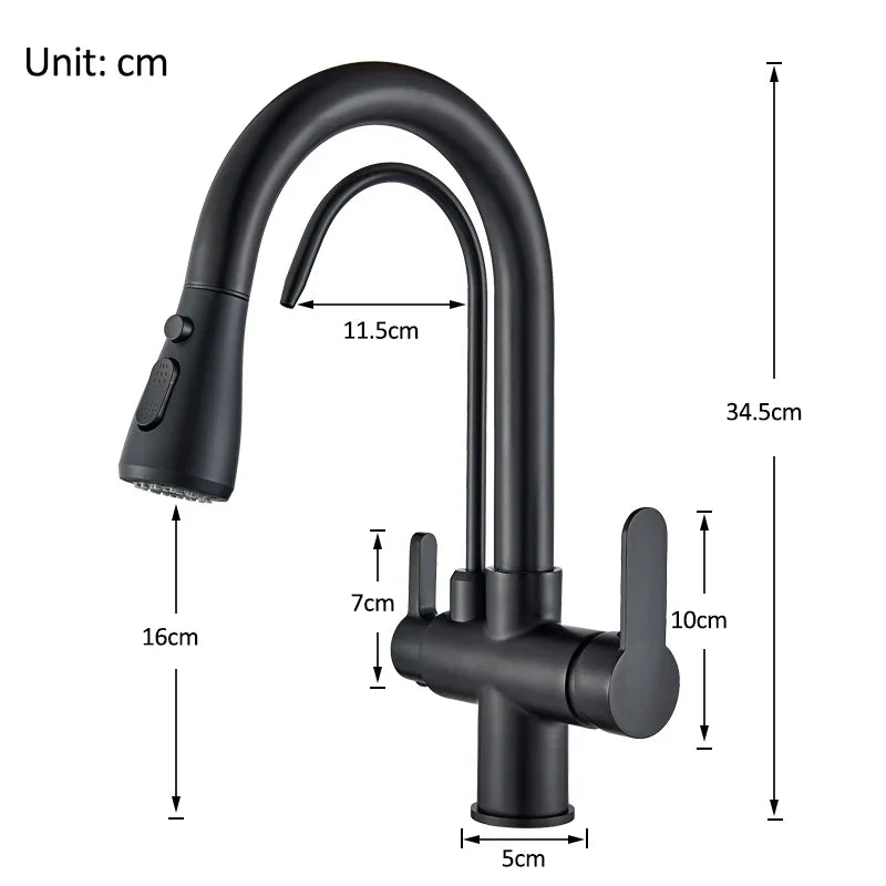 Rozin Purification Kitchen Faucet With 3-Way Pull-Out Spray Water Filter