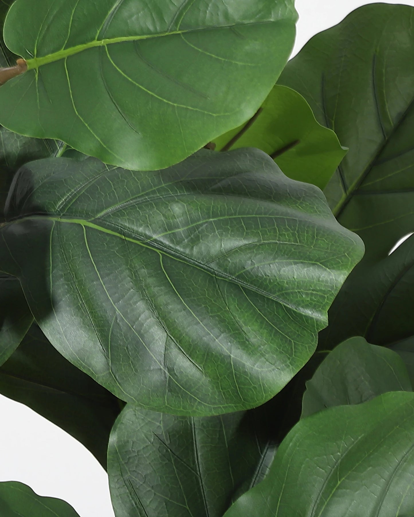 HiMISS Fiddle Leaf Fig Artificial Tree With Planter
