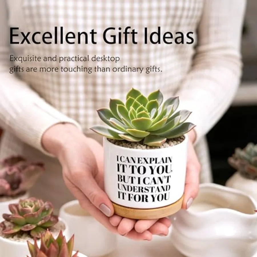 Humorous Quote Planter Pot Ceramic Succulent Gift For Home