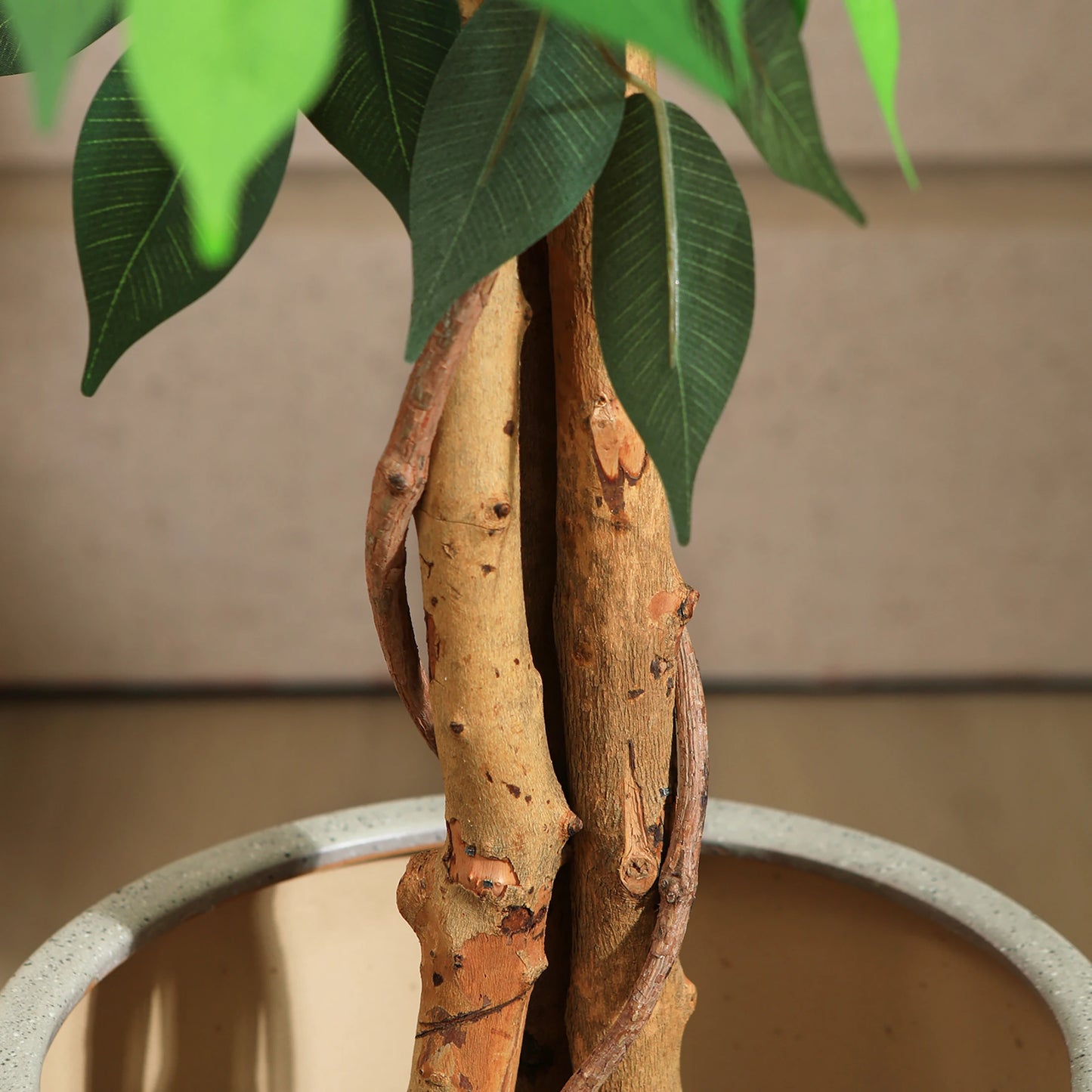 KAZEILA Artificial Ficus Tree With Silk Leaves In Nursery Pot