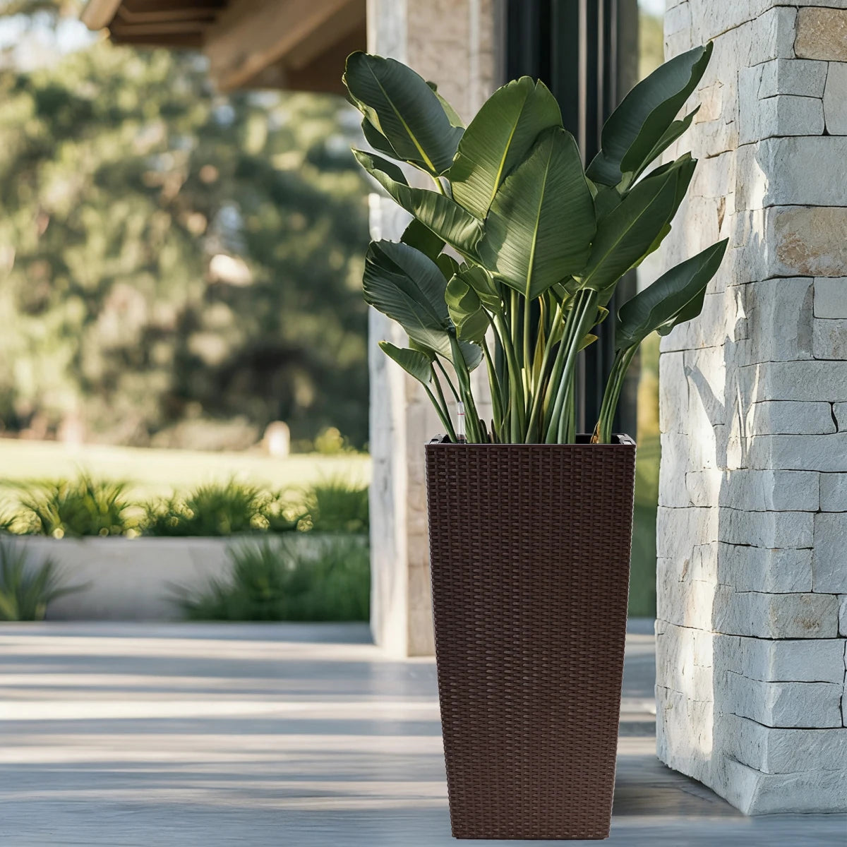 Self-Watering Plant Pot With Drainage Holes Tray Water Level Monitor