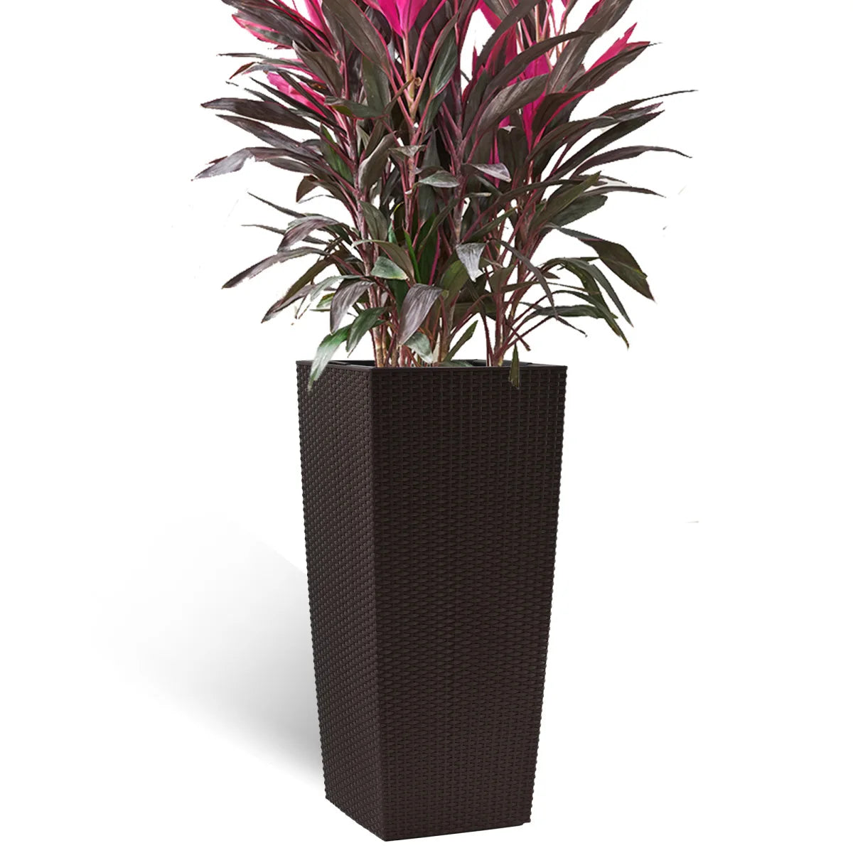 Self-Watering Plant Pot With Drainage Holes Tray Water Level Monitor